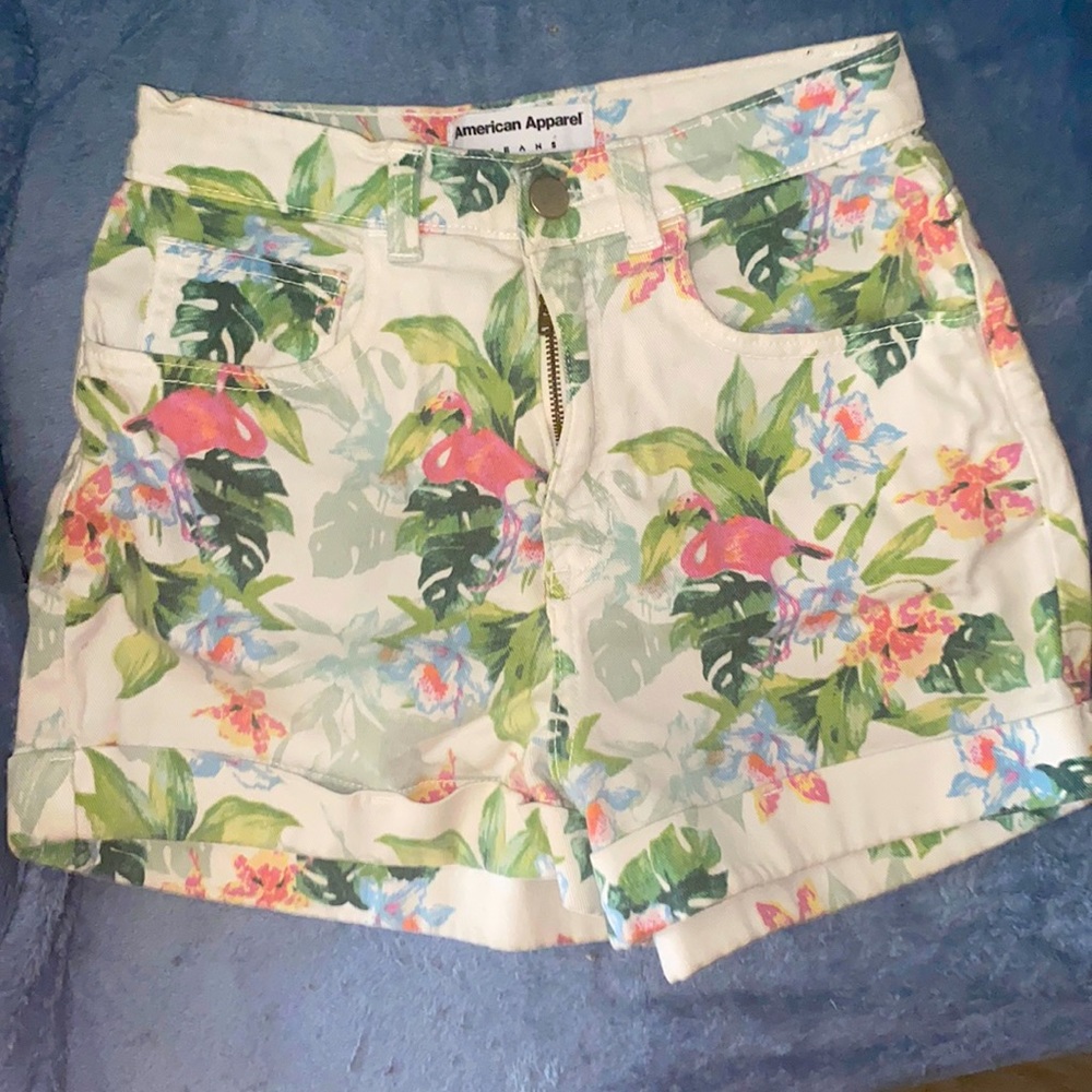 American apparel high waisted shorts.